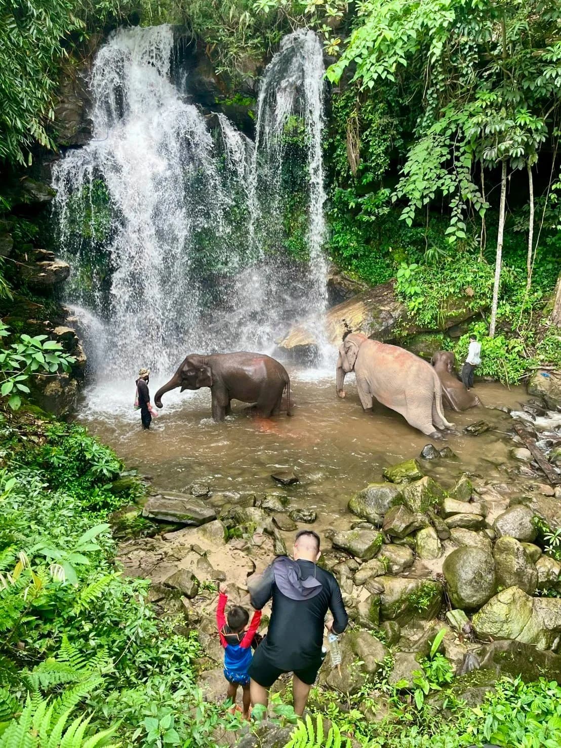 Lakerpor Elephant sanctuary