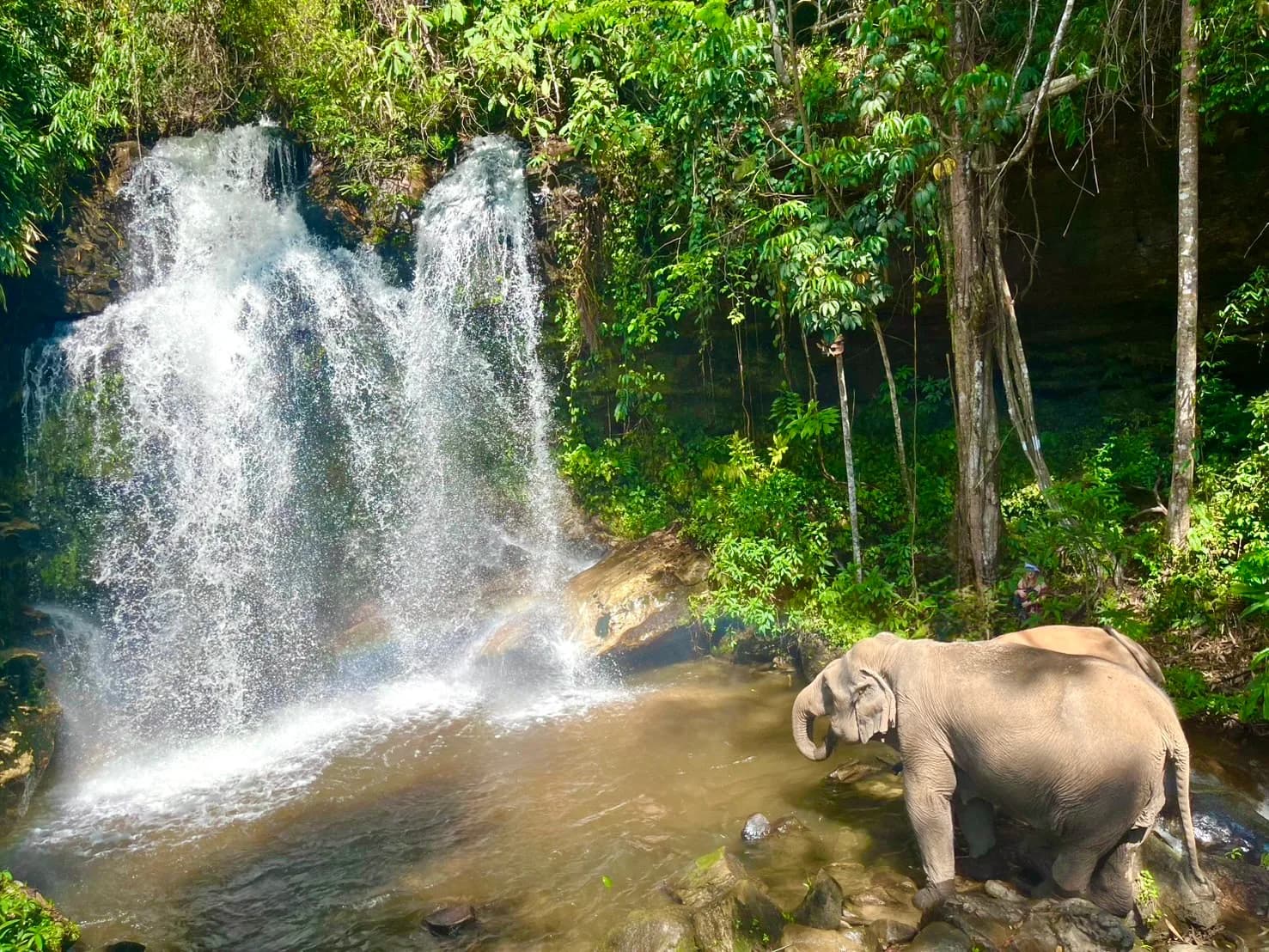 The sanctuary waterfall falling in two channels into a wide plunge pool, surrounded by jungle