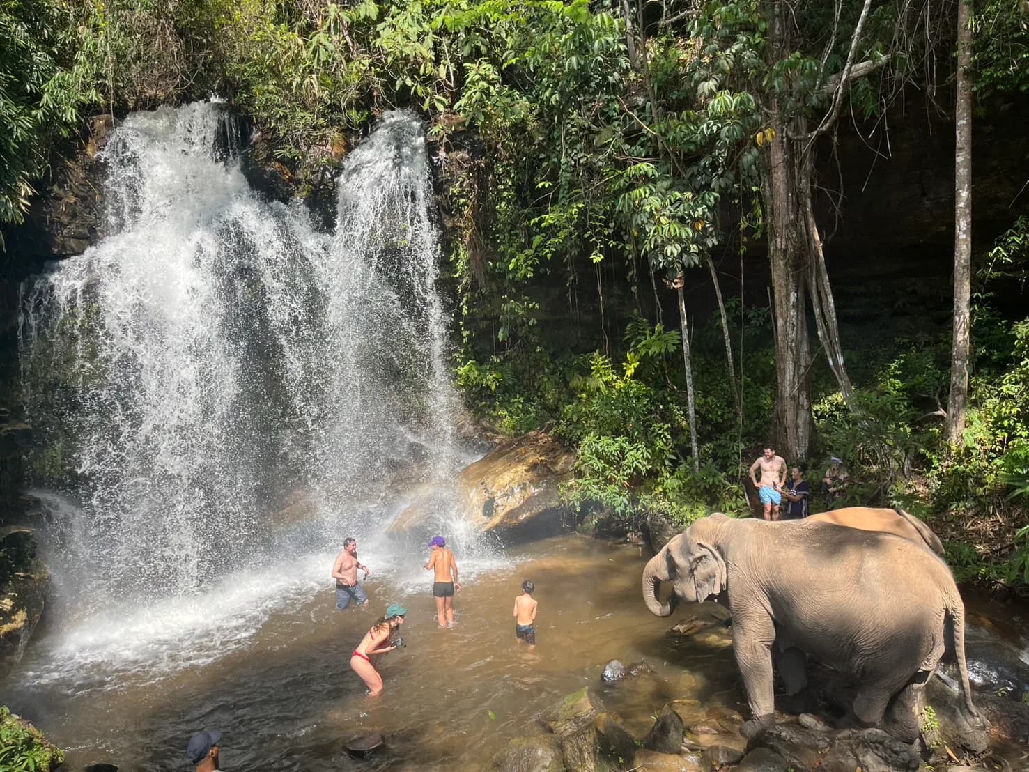 Full Day Experience at Lakerpor Elephant