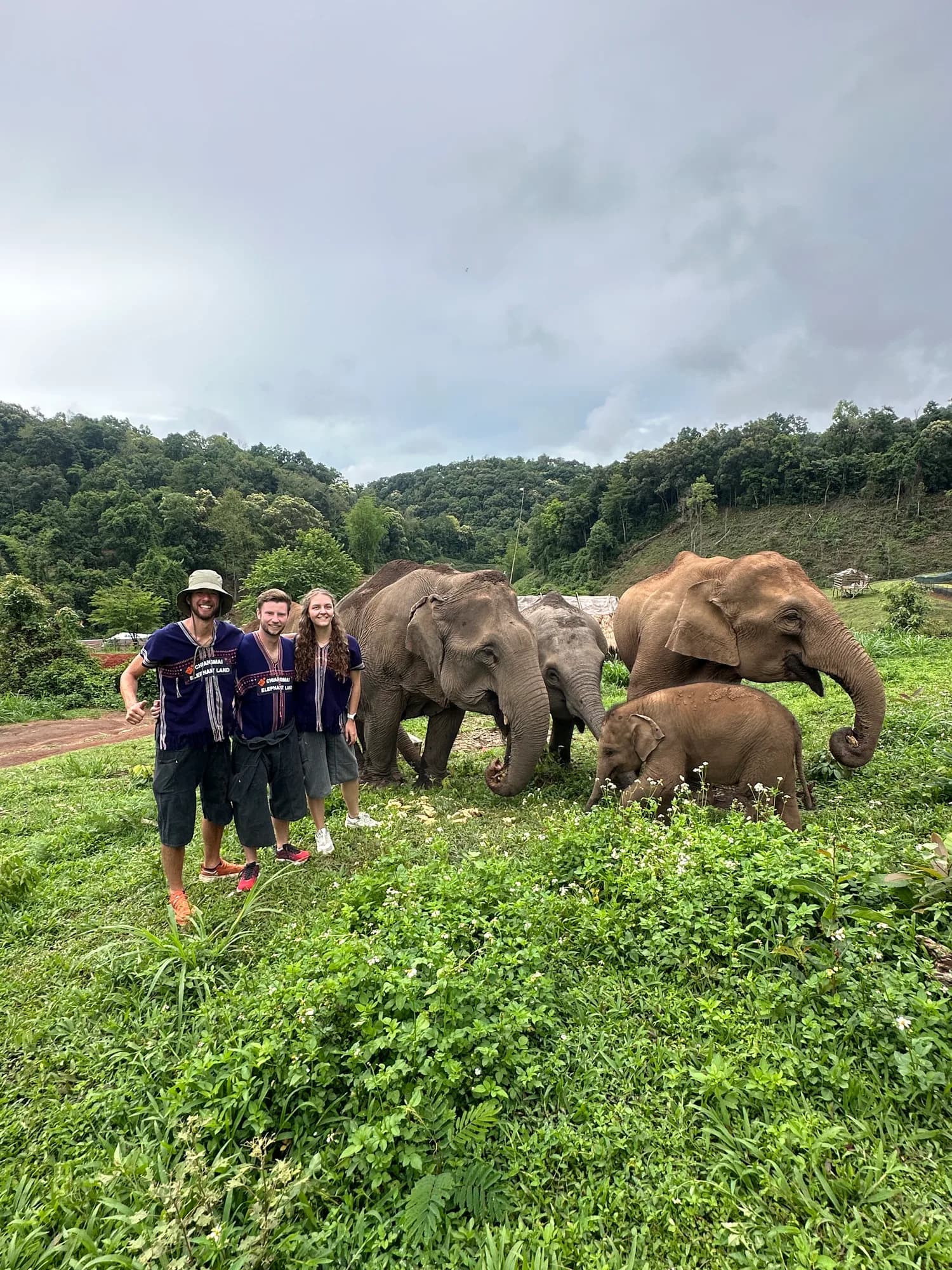 Elephant Care, Trek, Waterfall & Bamboo Raft at Lakerpor Elephant