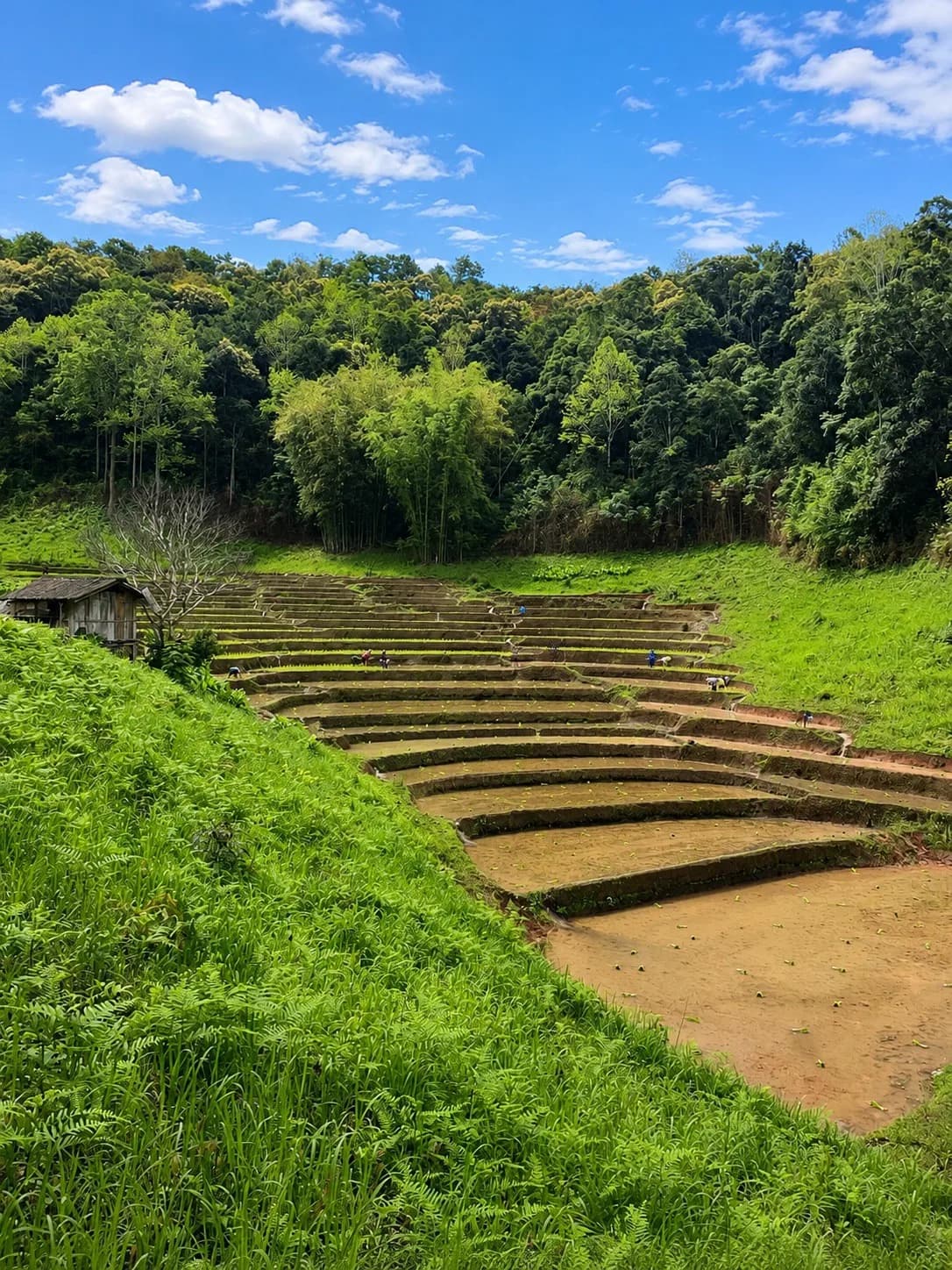 Lakerpor Elephant sanctuary