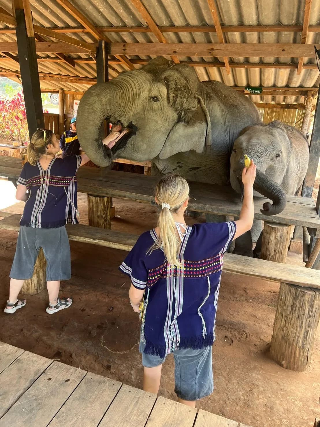 Elephant Care, Trek, Waterfall & Bamboo Raft at Lakerpor Elephant