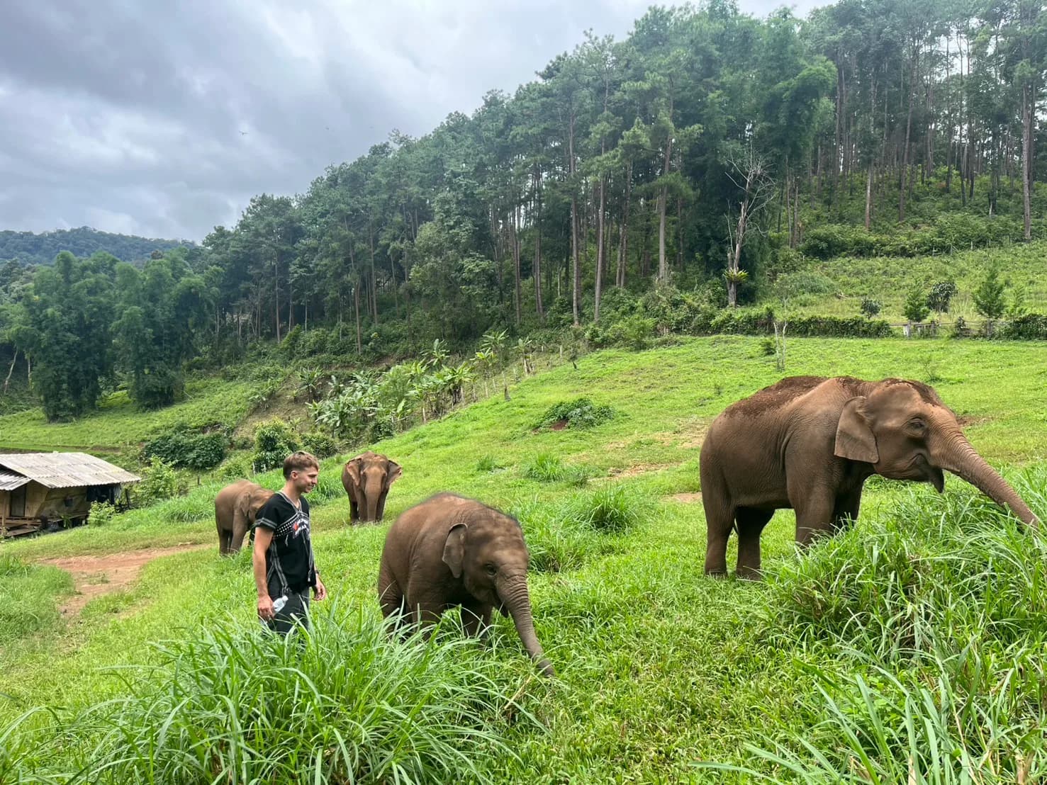 2 Days Adventure at Lakerpor Elephant