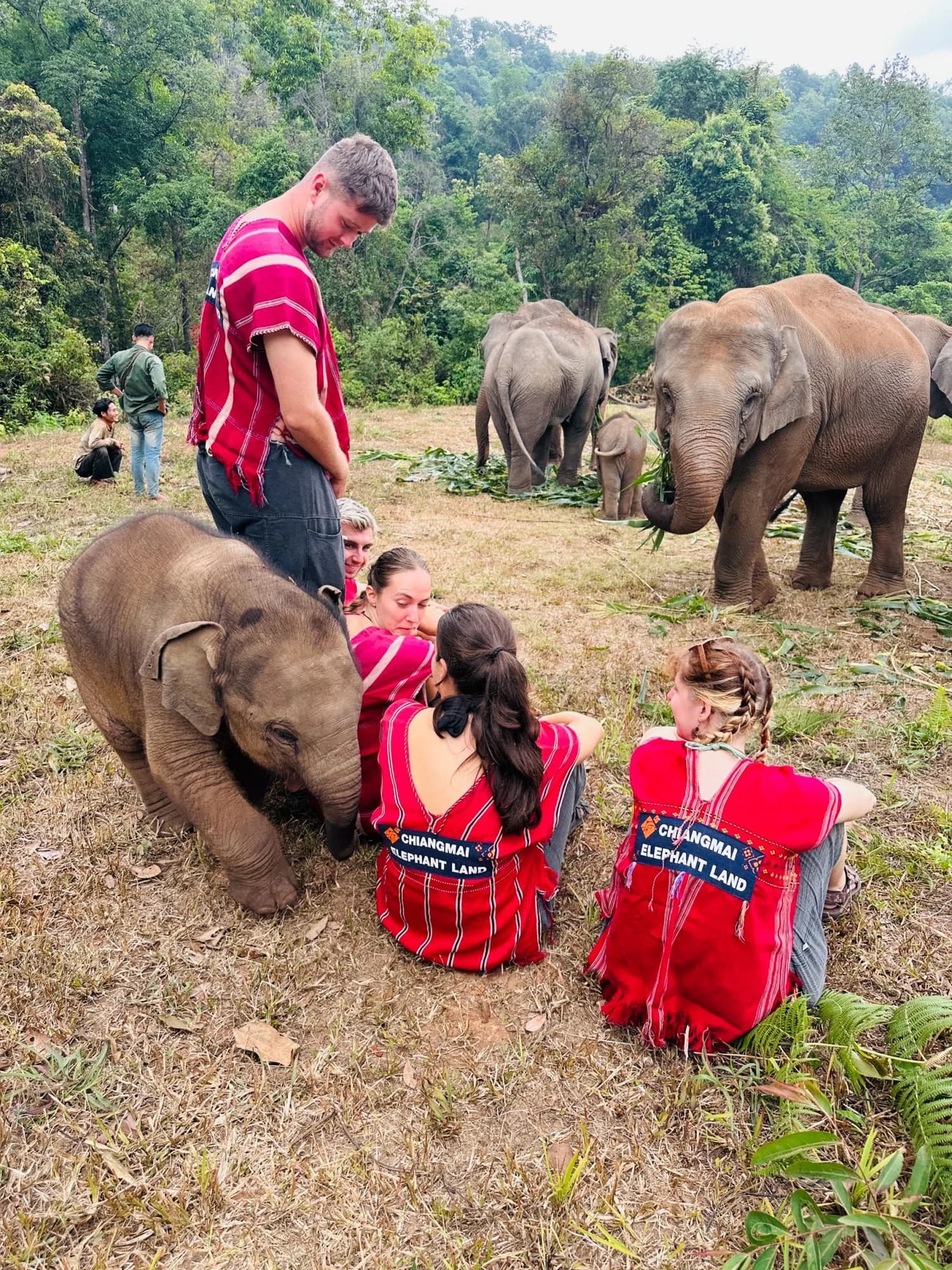 Half Day Afternoon at Lakerpor Elephant