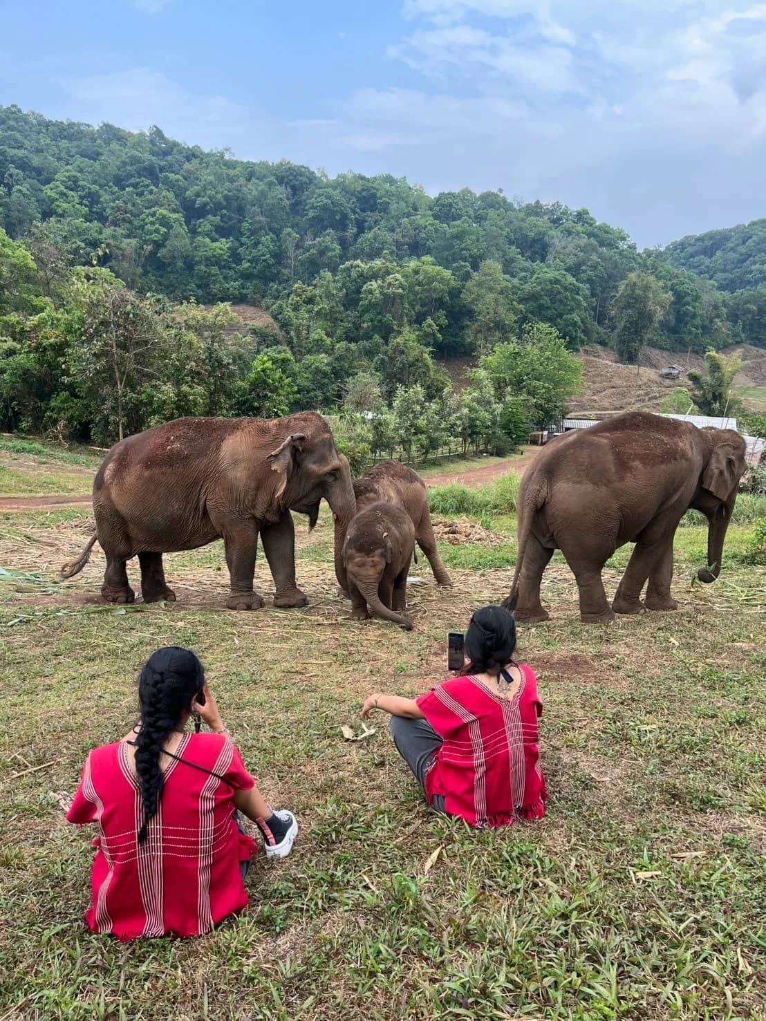 Two people in traditional red woven tunics sitting on the grass at a distance, watching the herd feed
