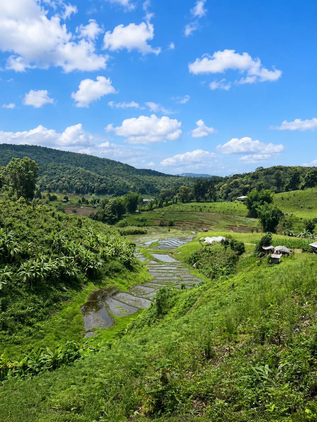 Lakerpor Elephant sanctuary