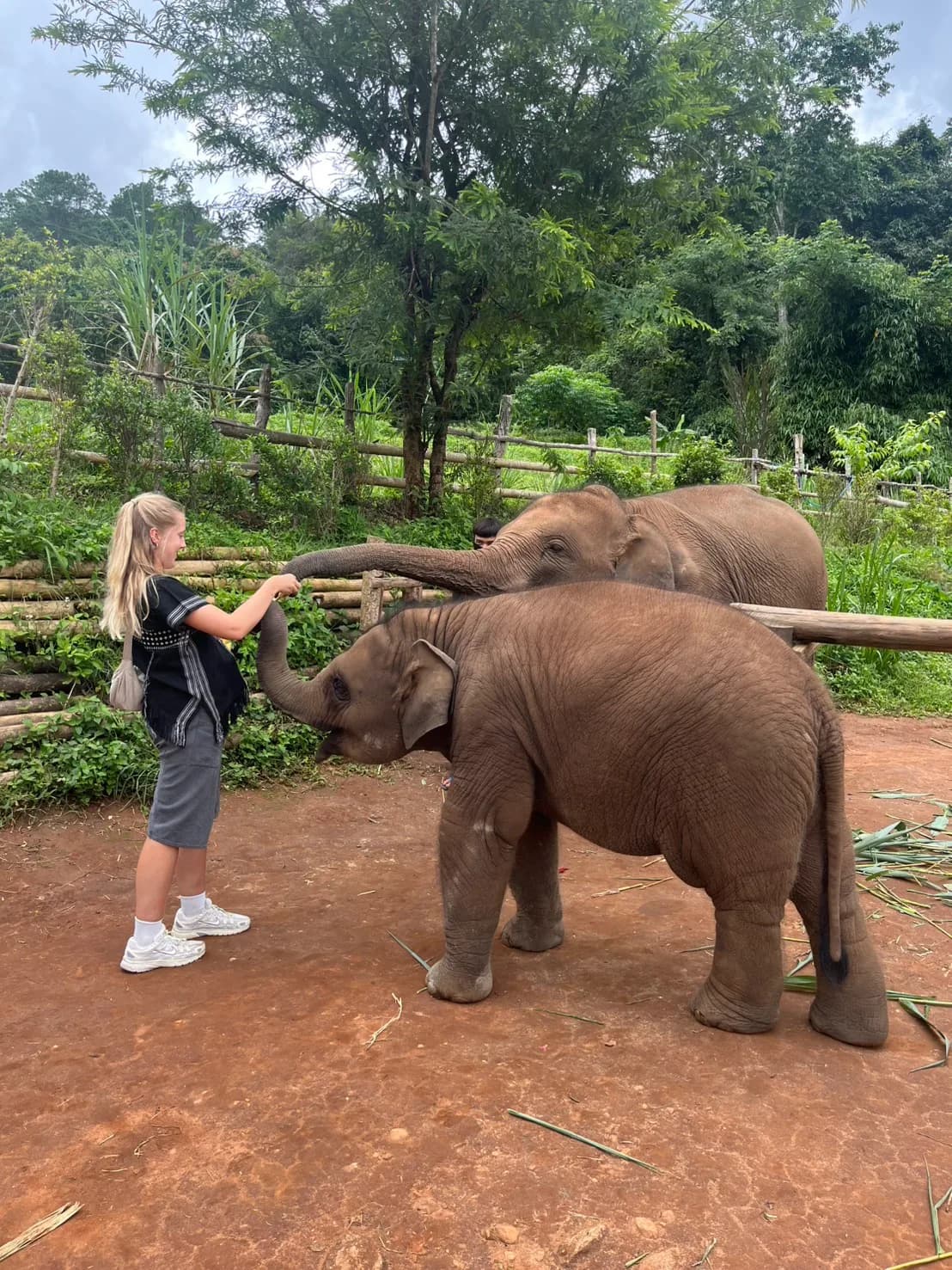 2 Days Adventure at Lakerpor Elephant