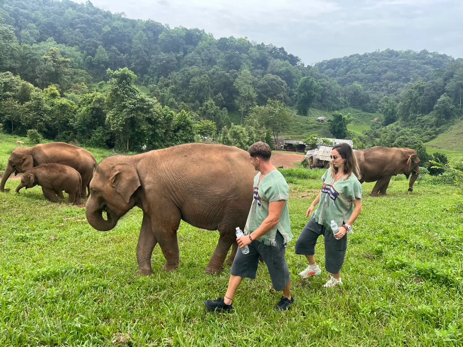 Experience life alongside the elephants and immerse yourself in the peaceful surroundings of our Chiang Mai elephant sanctuary