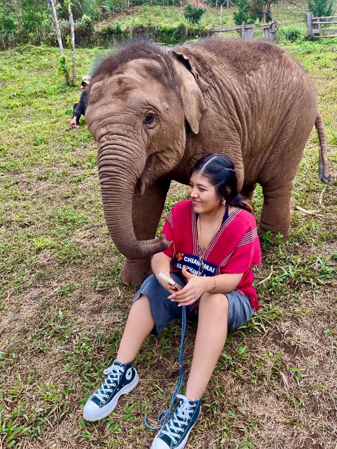 Half Day Afternoon at Lakerpor Elephant