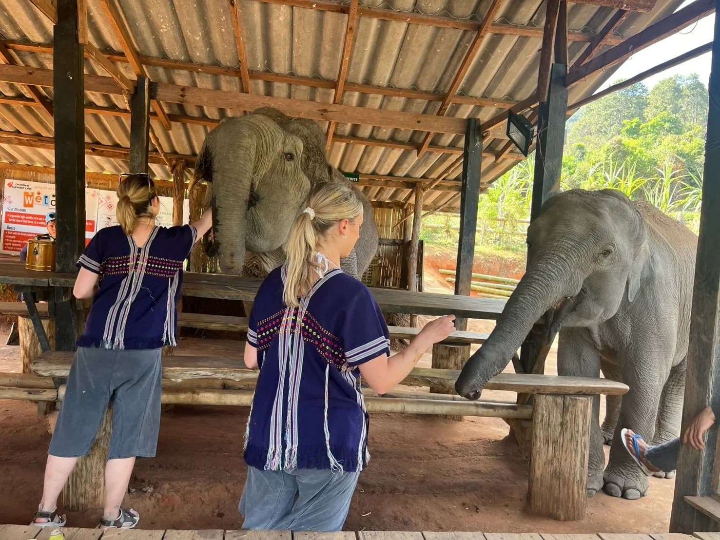 Half Day Afternoon at Lakerpor Elephant