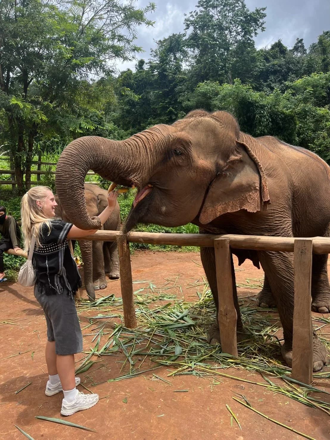 Full Day Experience at Lakerpor Elephant