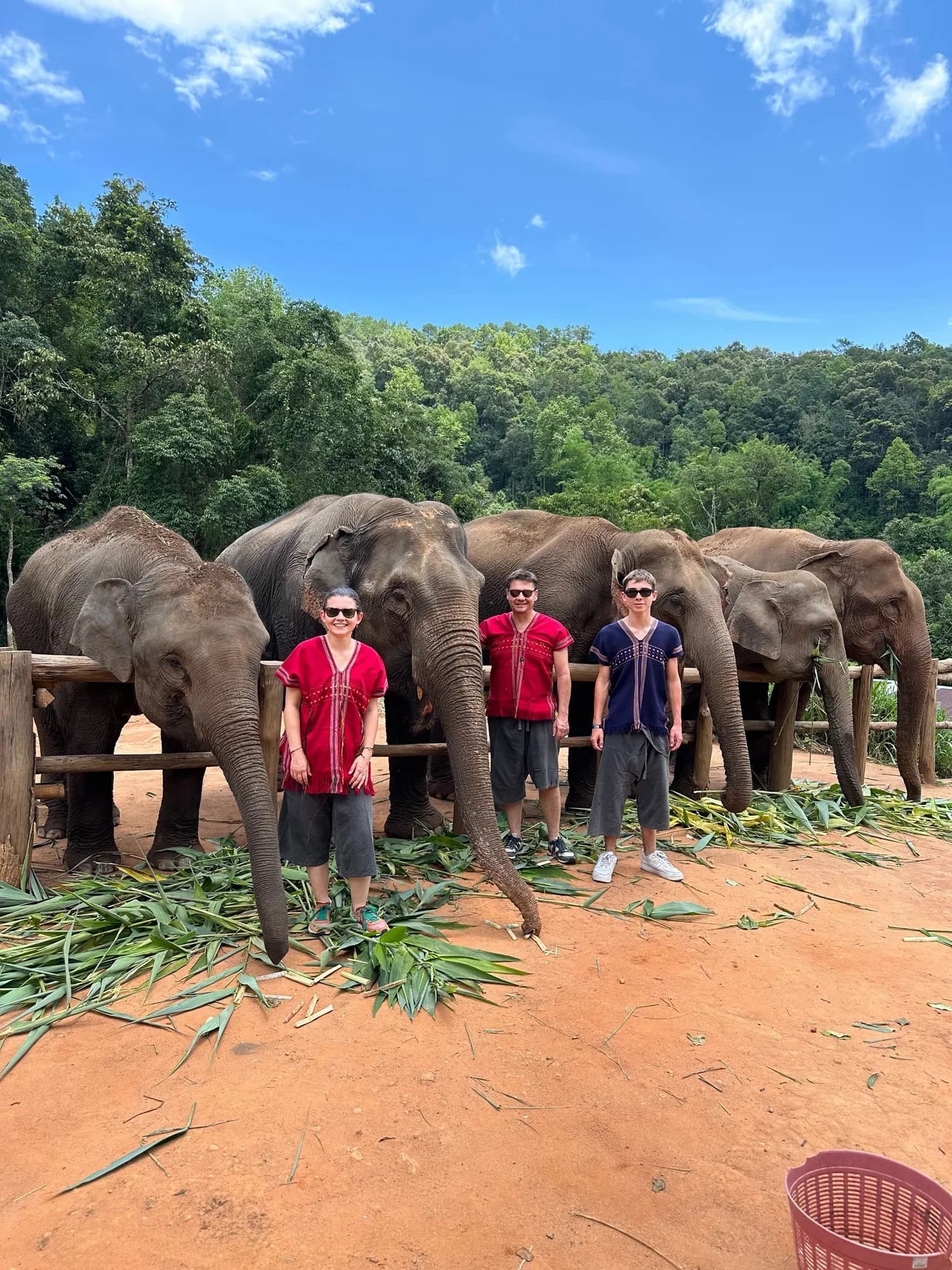 Full Day Experience at Lakerpor Elephant