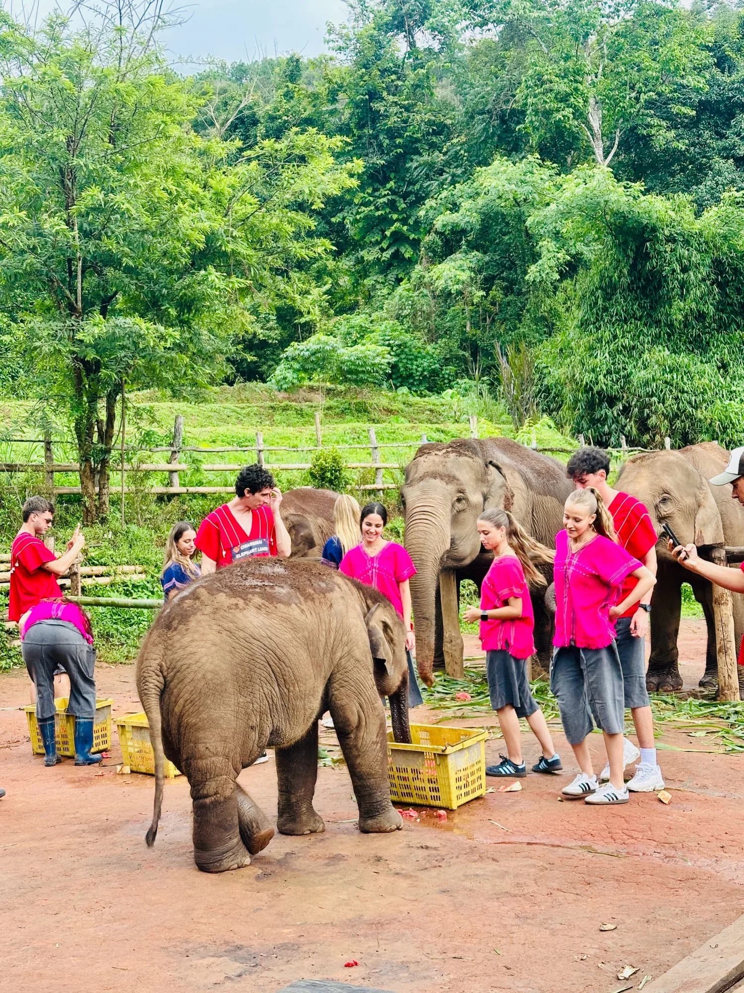 Half Day Morning at Lakerpor Elephant
