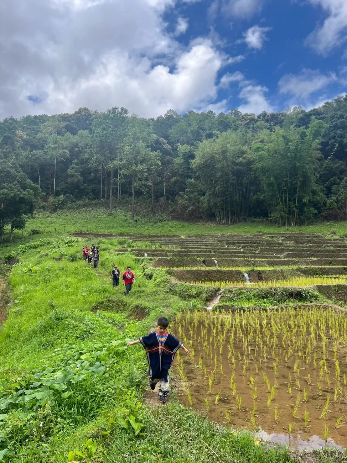 A child in traditional woven dress walking along the edge of a flooded rice paddy