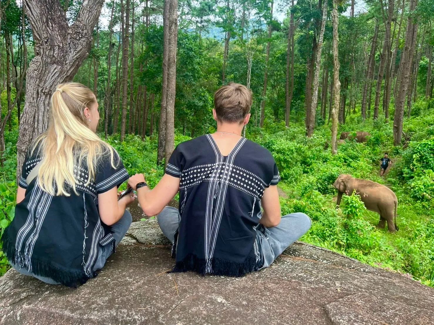 Full Day Experience at Lakerpor Elephant