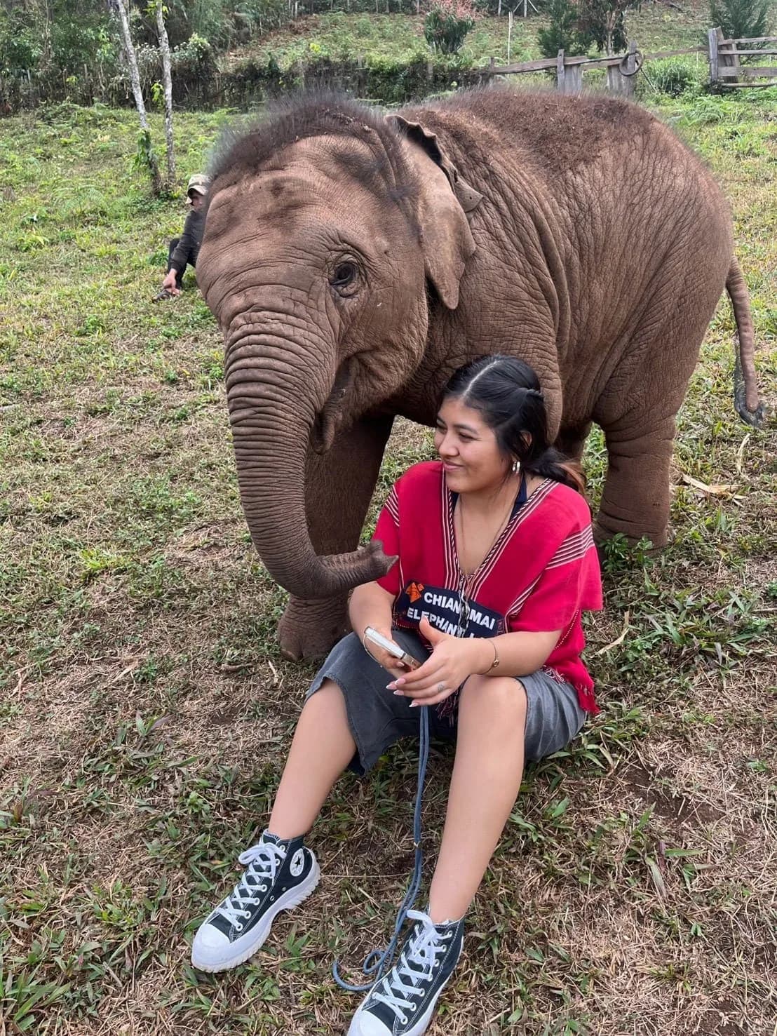 A guest sitting on the grass while a young elephant reaches towards her with its trunk