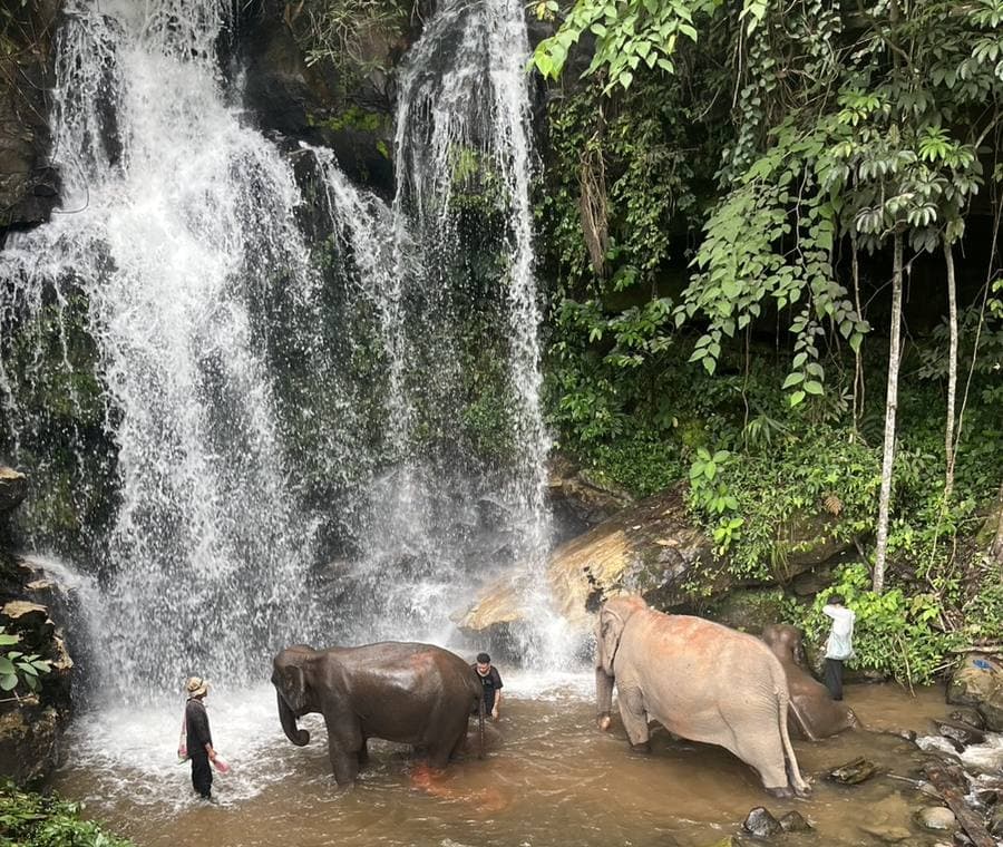 Two elephants standing in the plunge pool beneath the sanctuary waterfall, mahouts nearby